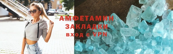 индика Алексин