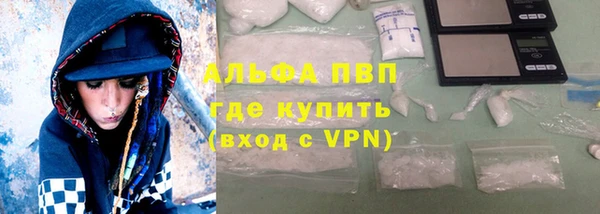 индика Алексин