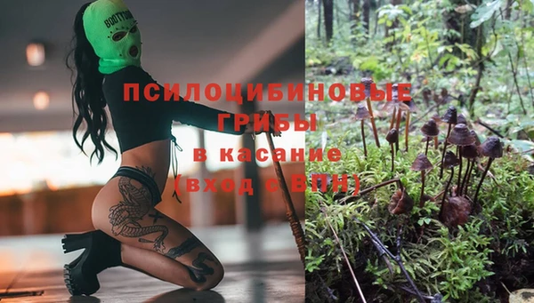 индика Алексин