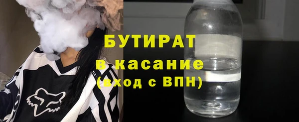 индика Алексин