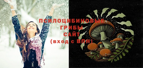 индика Алексин
