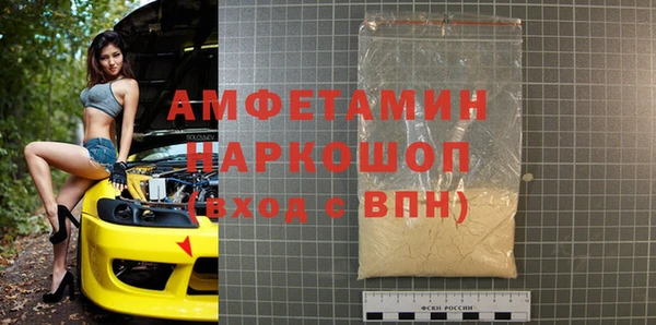 индика Алексин