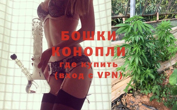 индика Алексин