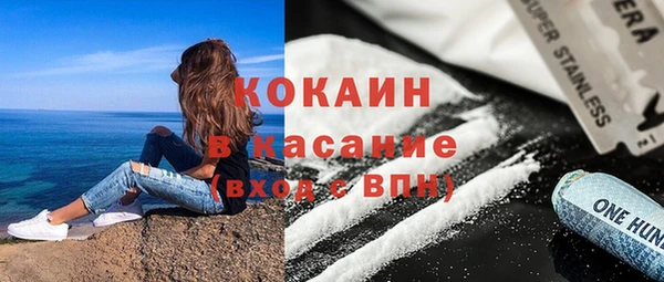 индика Алексин