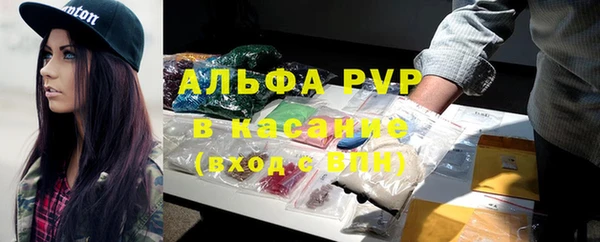 индика Алексин
