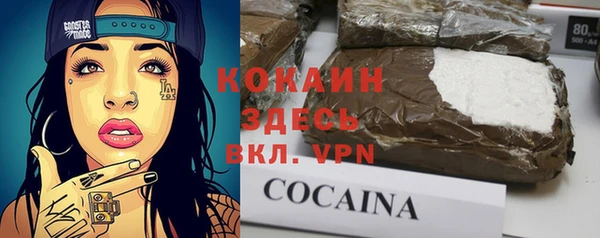 индика Алексин